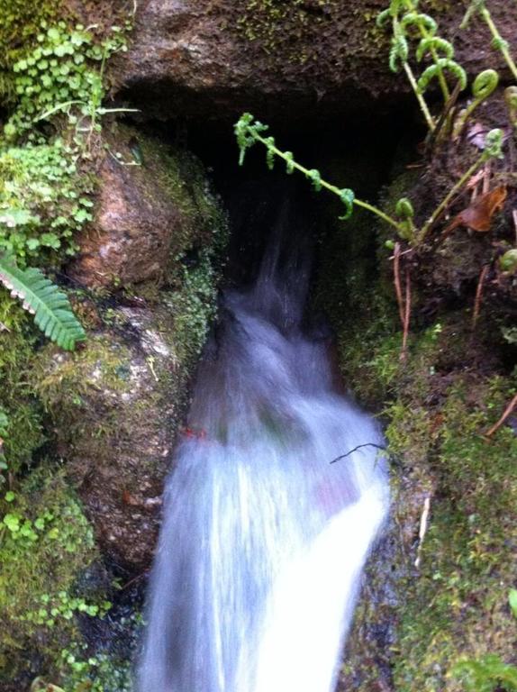 Eira das Carvalhas Penafiel Quarto foto