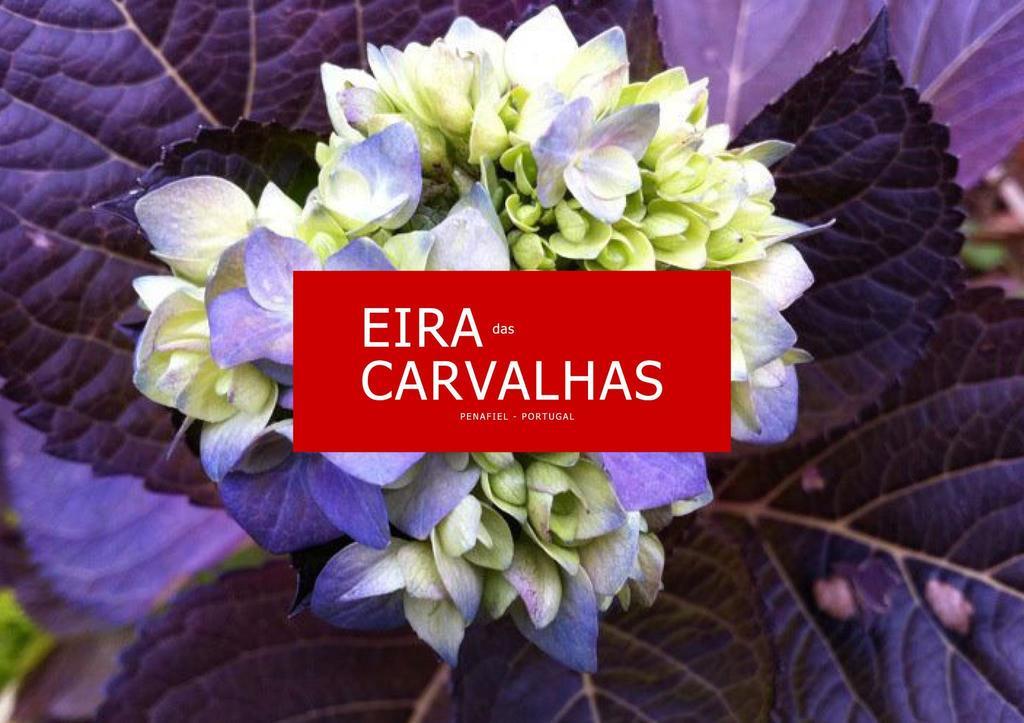 Eira das Carvalhas Penafiel Quarto foto
