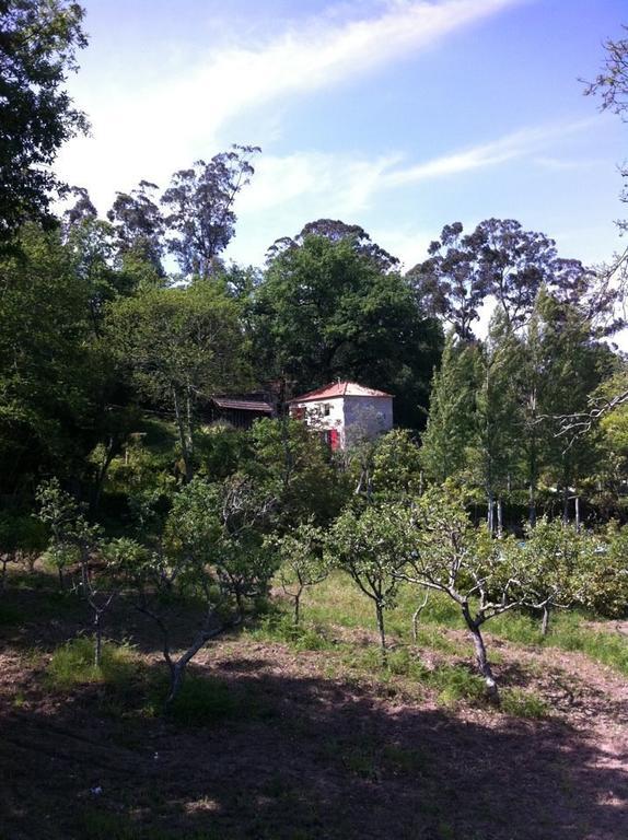 Eira das Carvalhas Penafiel Quarto foto